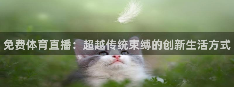 免费体育直播：超越传统束缚的创新生活方式