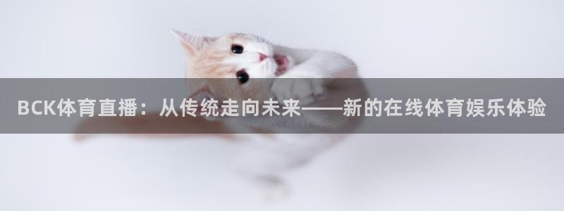 BCK体育直播：从传统走向未来——新的在线体育娱乐体验